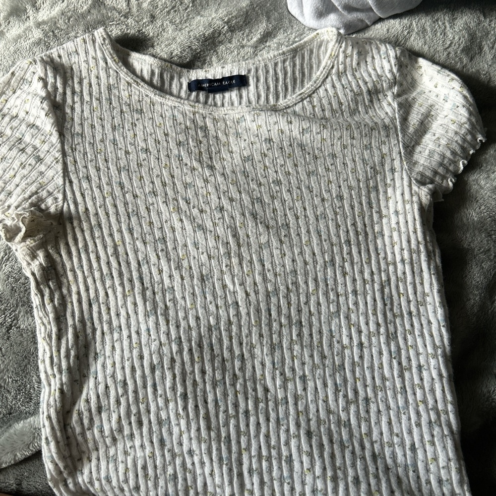 American Eagle Cropped Baby Tee